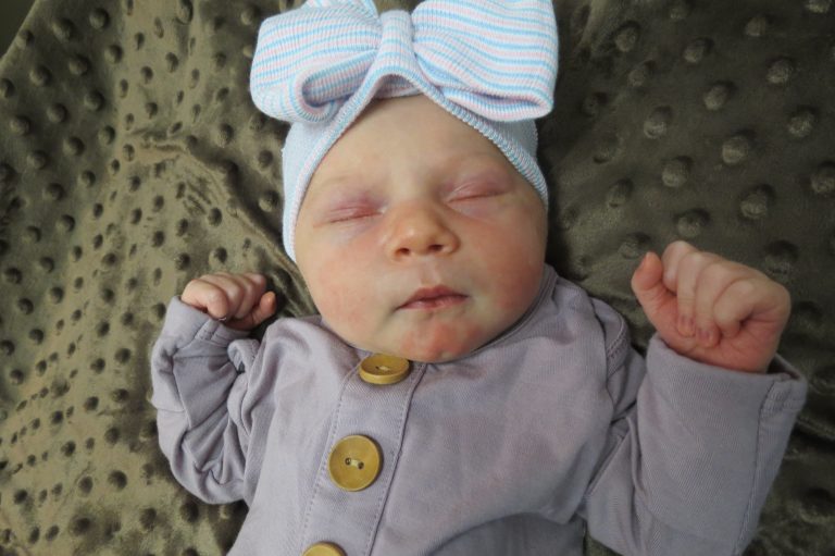 Wren Elizabeth